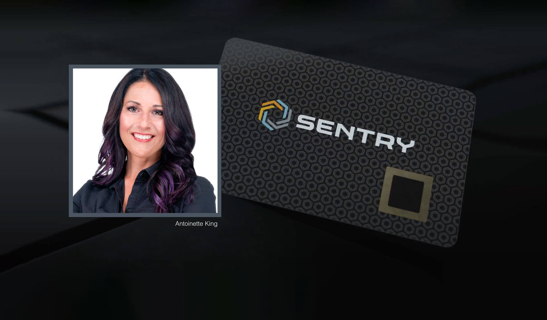 sentry img