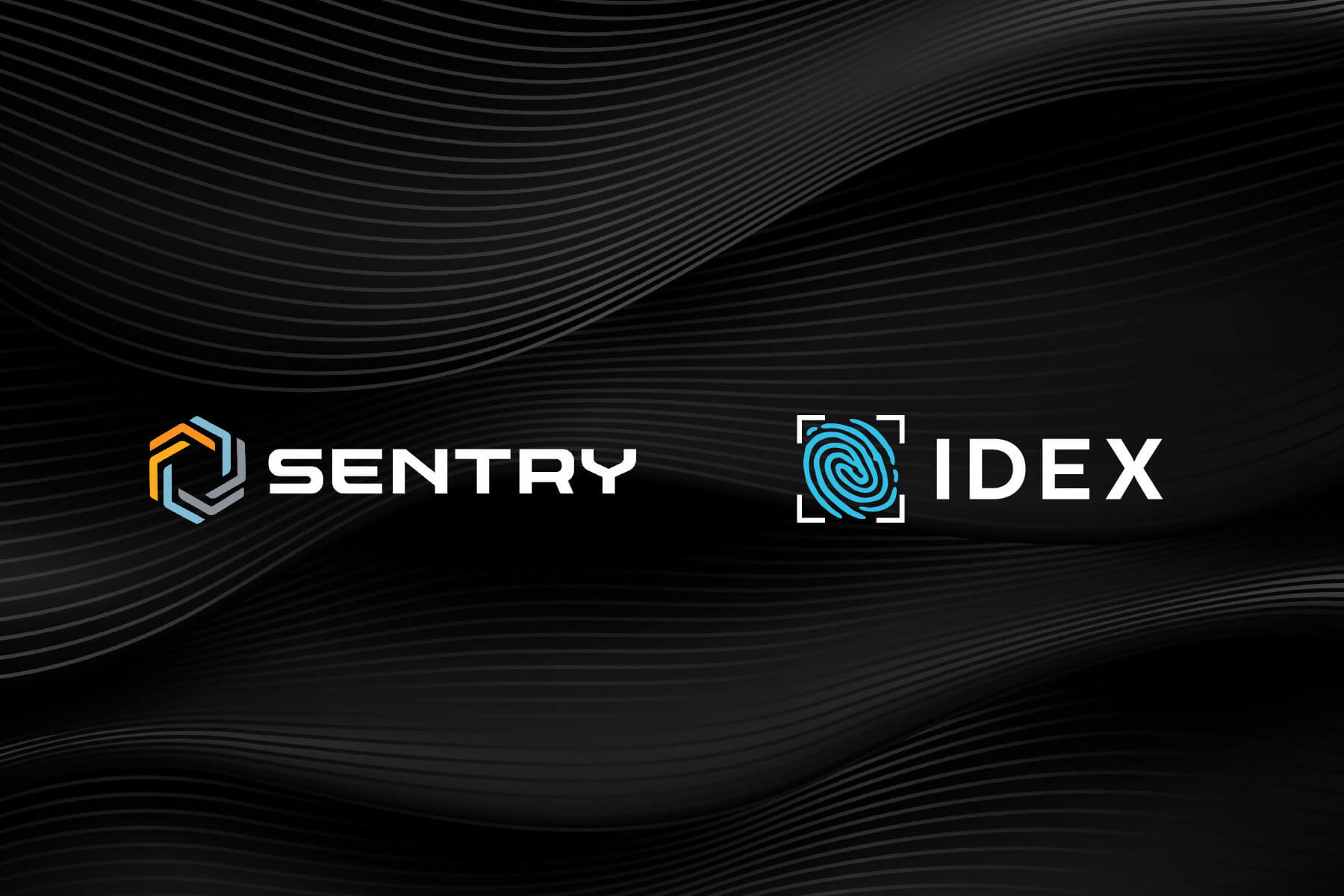 sentry img